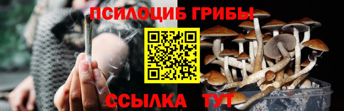 Псилоцибиновые грибы ЛСД Миллерово